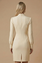 Women's Stand Collar Cutout Dress - Puff Long Sleeve - Back view with zip